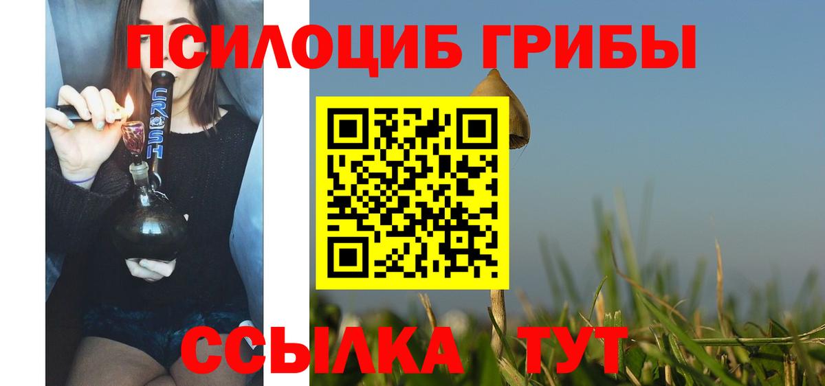 Галлюциногенные грибы Psilocybine cubensis  Вход с VPN  Вышний Волочёк  Галлюциногенные грибы ЛСД 